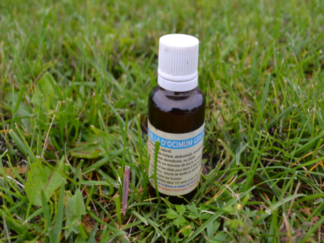Basilic African oil