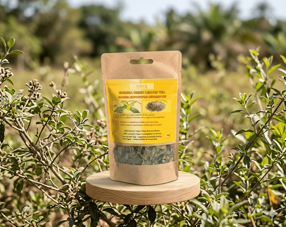 Infusion de feuilles de thé gambien