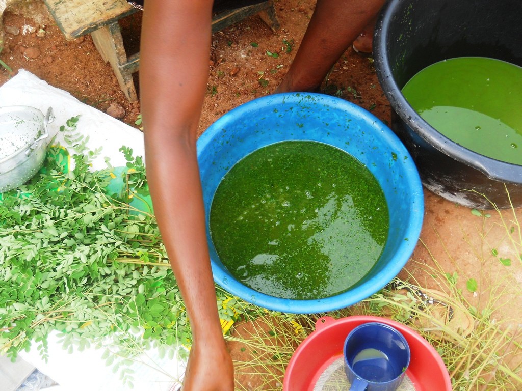 Making moringa cosmetics