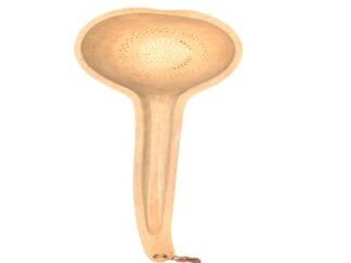 Tea strainer calabash