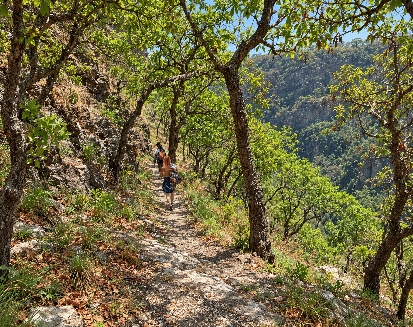 TogoSunny Guided tour-Wooded approach trail supplied to illustrate a waterfall walk near Kpalimé